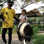 keindahan-equestrian-menyatukan-manusia-dan-kuda