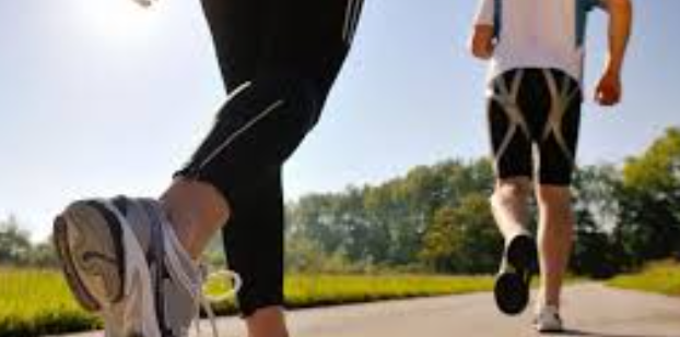 Peran Fasilitas Olahraga Modern bagi Prestasi Atlet