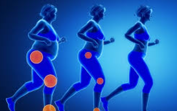 Bahaya Overweight dalam Gym bagi Sendi dan Lutut